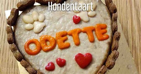 hondentaart maken